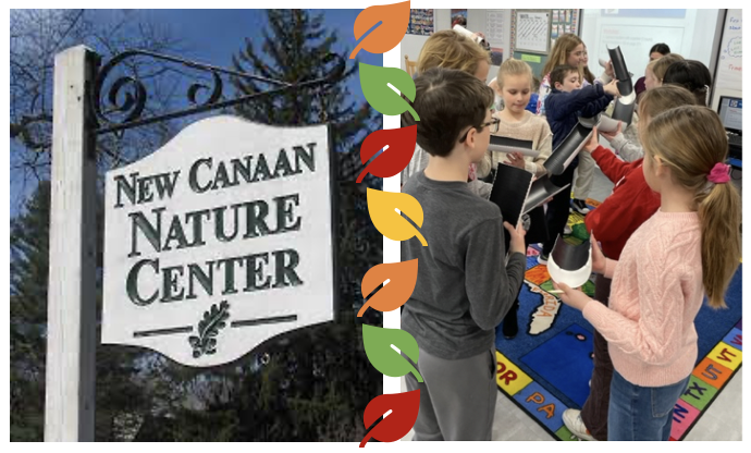 Team Building w/ The New Canaan Nature Center